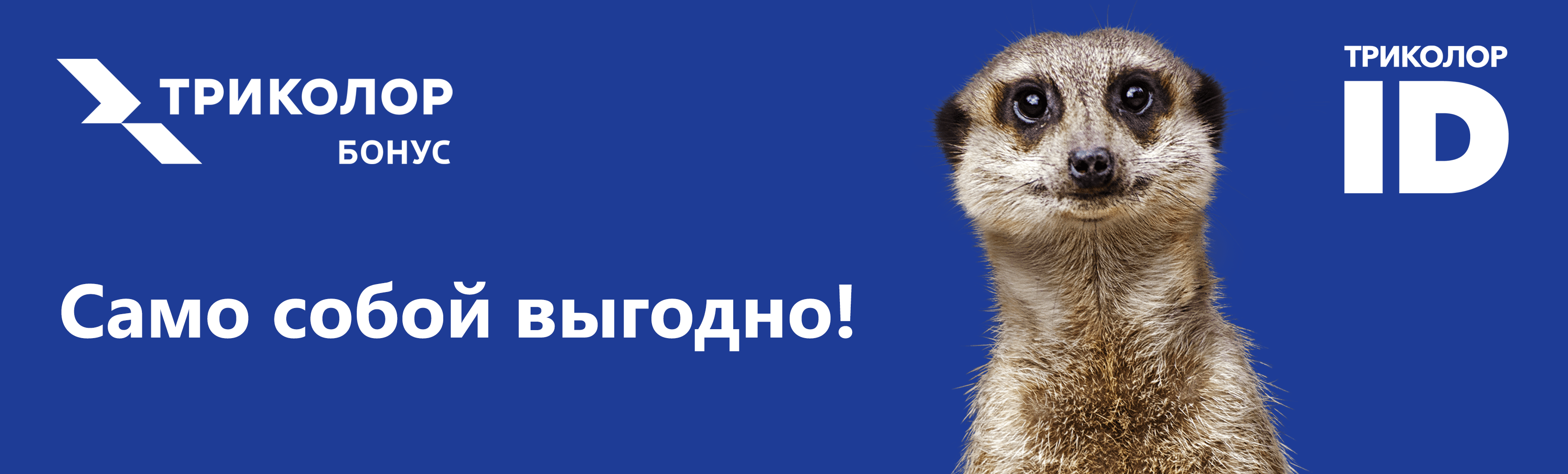 Бонусы от Триколора выгодные бонусы от триколор