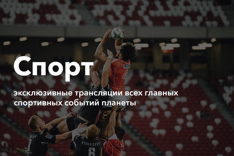 Триколор для бизнеса спортивные каналы