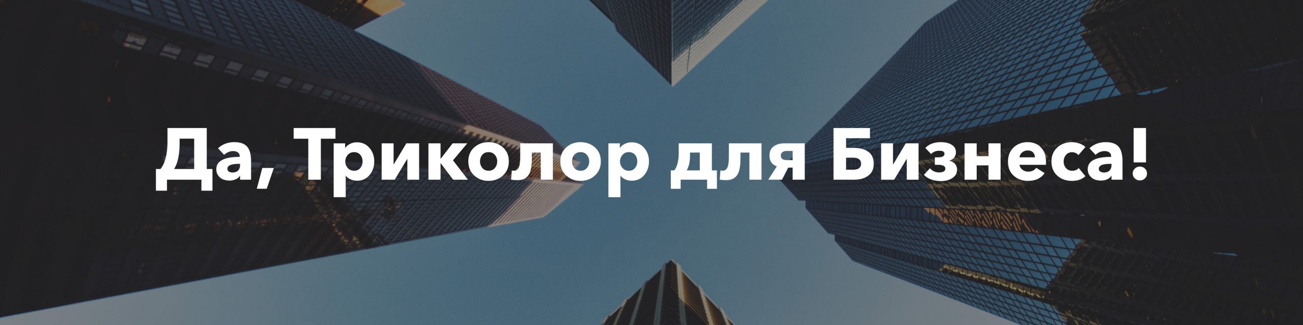 Триколор для бизнеса шапка Триколор ТВ для бизнеса